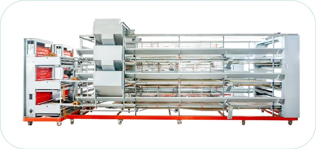 Automated H Type Battery Cage Hot Galvanized Material 544 Birds/Unit Poultry Farming