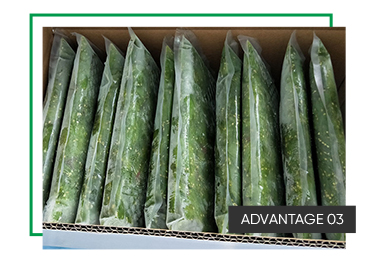 Shandong Frozen Seaweed Slices for Sweet and Sour Salad Seasoning 1 Year Shelf Life