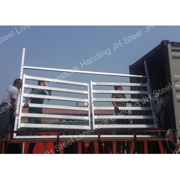 Ворота скотного двора поголовья панели скотного двора стиля Австралии трубчатые