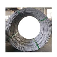 O fio de aço inoxidável de AISI 310S rola 300 séries de alta elasticidade