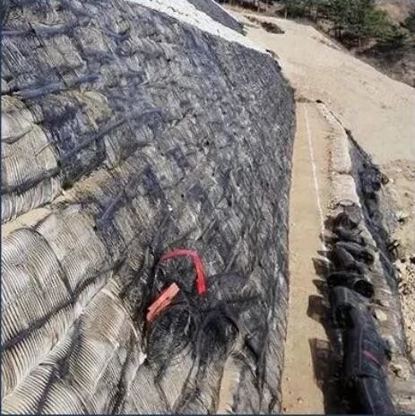 High Strength PP/HDPE Plastic Soil Reinforcement Geogrid Driveway For Retaining Wall
