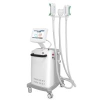 cuerpo Cryolipolysis de la cara de 2000W 100kpa que adelgaza la máquina