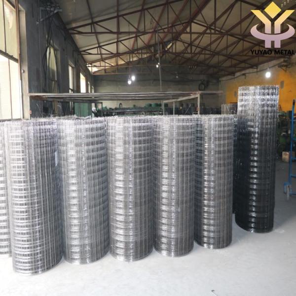 Square Hole 0.8m - 1.5m Height Welded Wire Mesh Rolls PVC Coated For Ram Wire