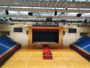 Salón de deportes 4'x8'x1' Incendio resistente madera lana cemento panel ac