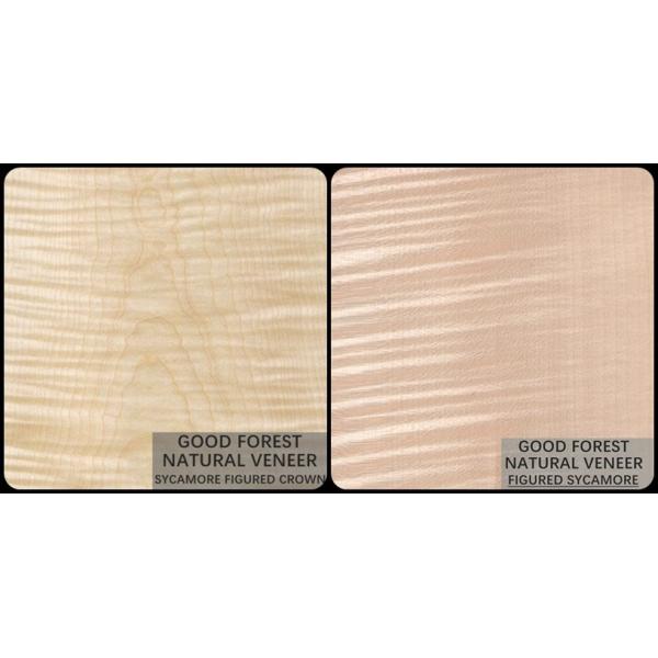 Естественная облицовка 0.3mm до 0.5mm волнистой древесины явора для межкомнатных дверей