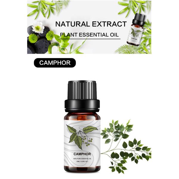 Pure Camphor Home Fragrance Essential Oils Natural ODM MSDS Antidepressant