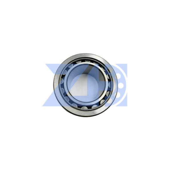 Suitable  Hydraulic Pump Bearing External  SBS120  120