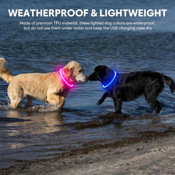 USB Rechargeable Waterproof Dog Collar for Night Walking and Training Solid Pattern