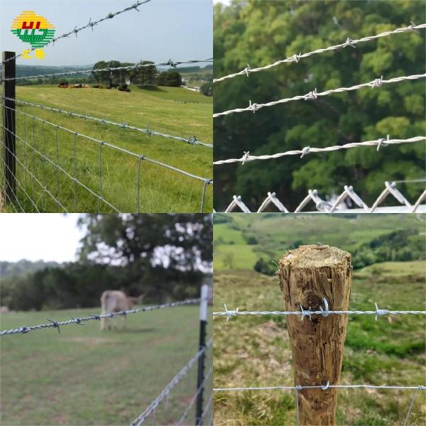 Двойная скрученная оцинкованная колючая проволока горячее погружение 1,5 мм 200 м рулон