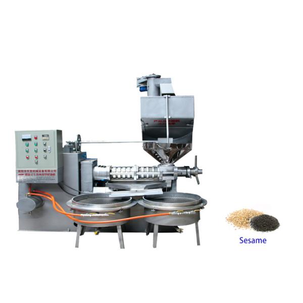 380V Машина для прессы кулинарного масла Горячая продажа Свинцовый масляный прессер Машина для изготовления арахисового масла Оборудование для экстракции масла семян