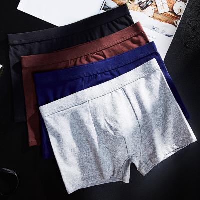 Tanque superior dos clássicos positivos do algodão de Wicking da umidade do short 2xl 3xl 4xl do pugilista dos homens do tamanho