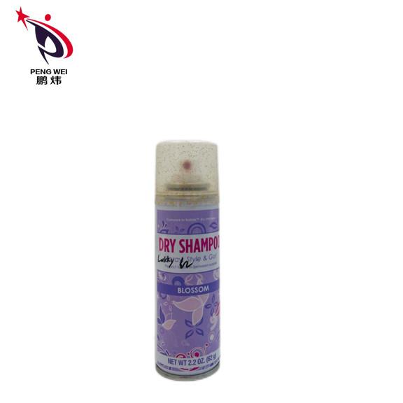 Wholesale Hair Fluffy Oil Control Refreshing Dry Hair Shampoo Spray