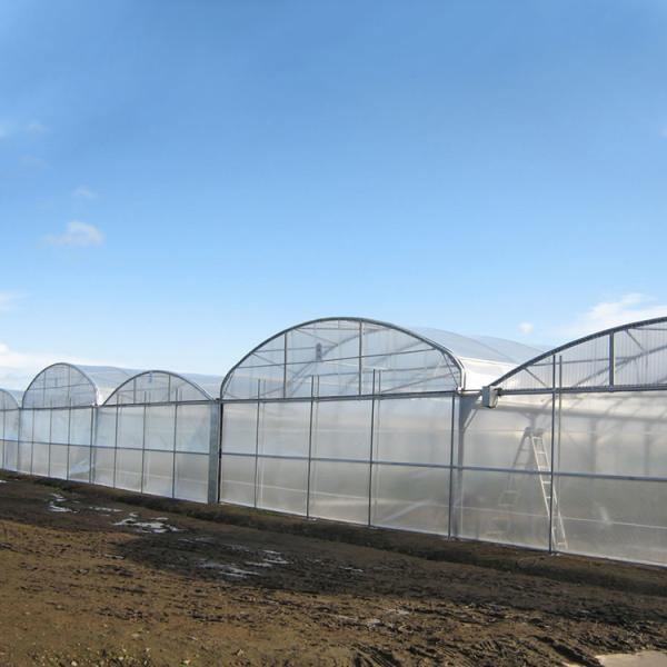 Agricultural Polycarbonate Sheet Greenhouse Turnkey Project Serre Agricole Intelligent