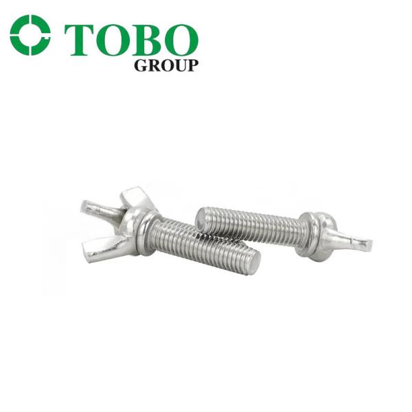 Borboleta 316 Wing Head Bolt de aço inoxidável de TOBO 304