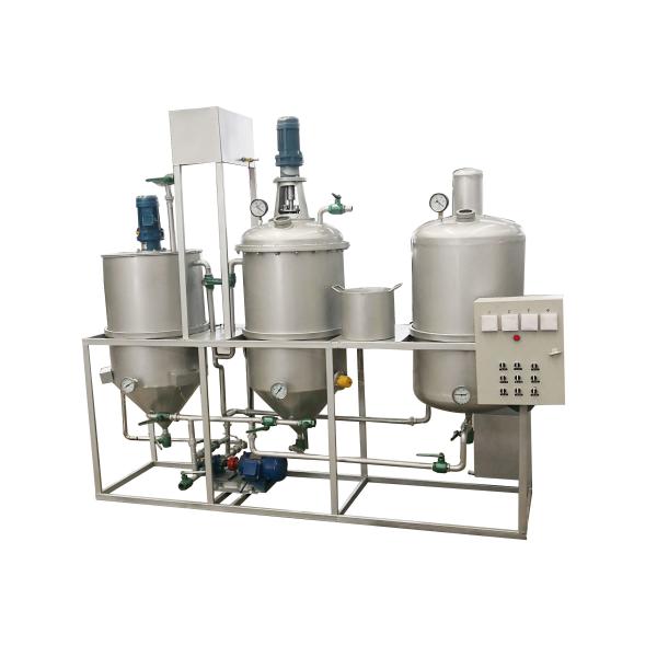 Stainless Steel Plant Oil Extraction Machine For Walnut / Rapeseed