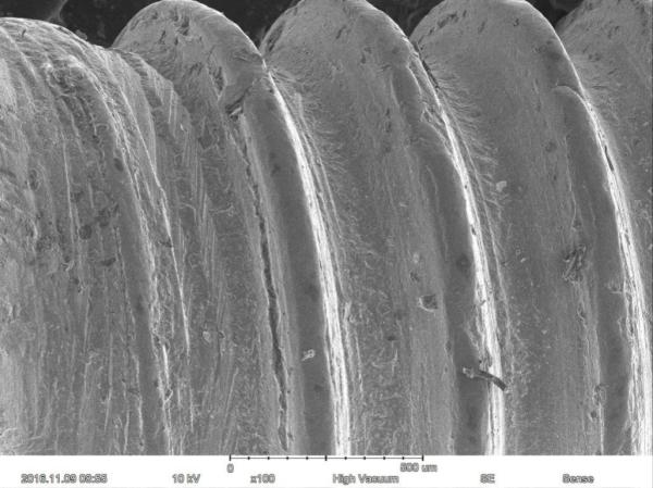 Magnification Max 60000X Scanning Electron Microscope 15nm Resolution Optional EDS