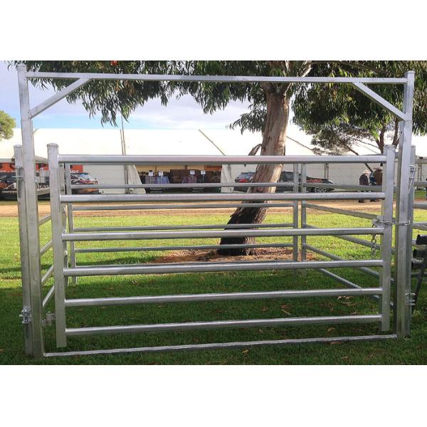 Galvanized Cattle Yard Panels Oval Tube 40x60mm With 1.5 Thickness For Farm