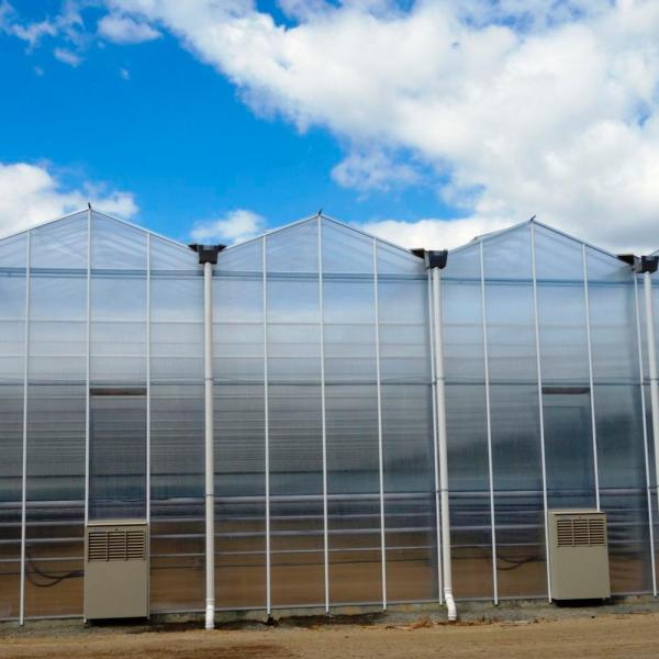 Polycarbonate PC Sheet Greenhouse With Irrigation Equipment
