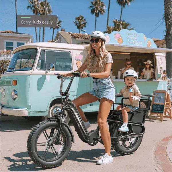 Hot Sale Carbon Steel Frame 7-Speed Double Lithium Battery 20 Inch Hydraulic Disc Brakes 48V/250W Rear Hub Motor Cargo Bike