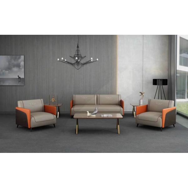 Fabric / Leather Cushion 2 Seater Contemporary Living Room Sofa