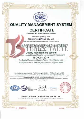 Tengs Valve International Limited Certifications