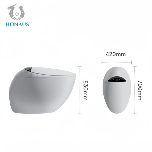 3L Water Consumption Smart Intelligent Toilet Siphonic Vortex Flush Self Clean Glaze Luxury