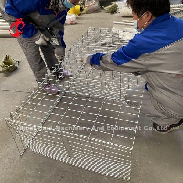 Cage de poulet de poulet de type A ou H pour la ferme avicole Doris