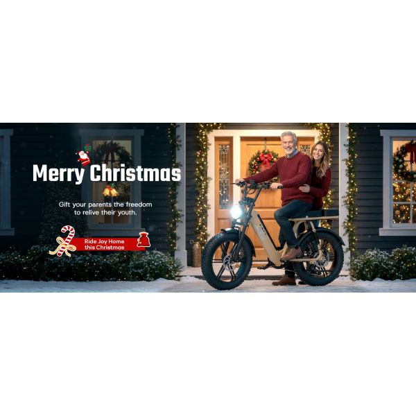 R7 Electric Multi-Purpose E-Bike Brushless Steel Frame Dual Suspension Disc Brake Rear Hub Motor 15AH Electric Utility Bike