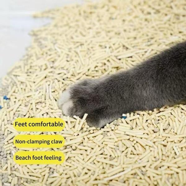 Tofu à haute absorption Litter mixte de bentonite non collant Biodégradable Litter de chat de tofu