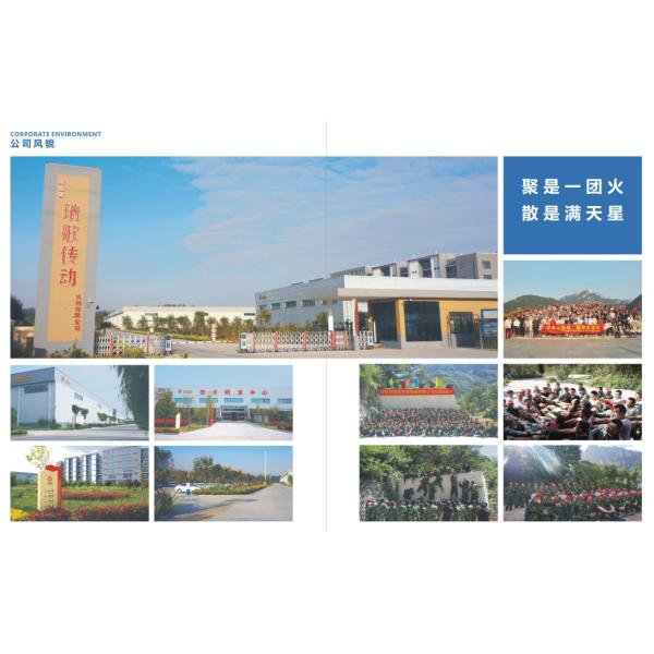 Henan Dongtai Gear Wheel Co., Ltd.