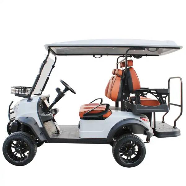 Rear Hub Motor 48V Lithium Battery Golf Cart with Audio System 6 Passenger Modern Style