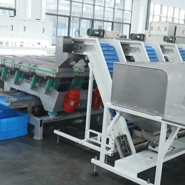 Smart Walnut Kernel Sorting Unit Provides Gentle High-Frequency Feeding For Low Breakage Nut Processing Results