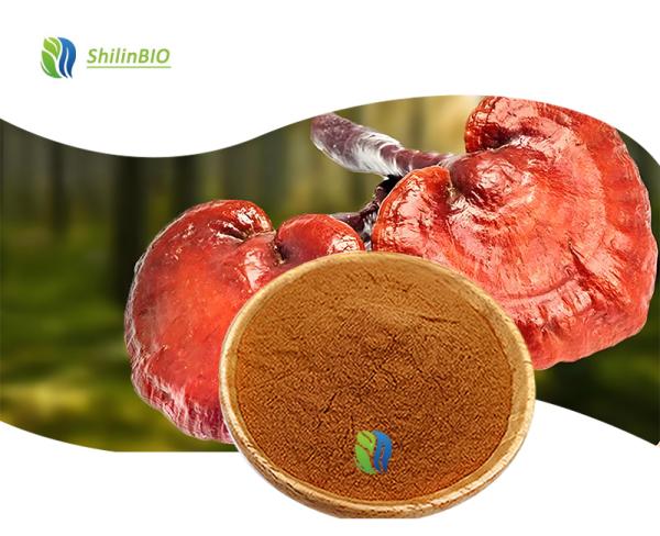 Ganoderma Lucidum Spore Powder