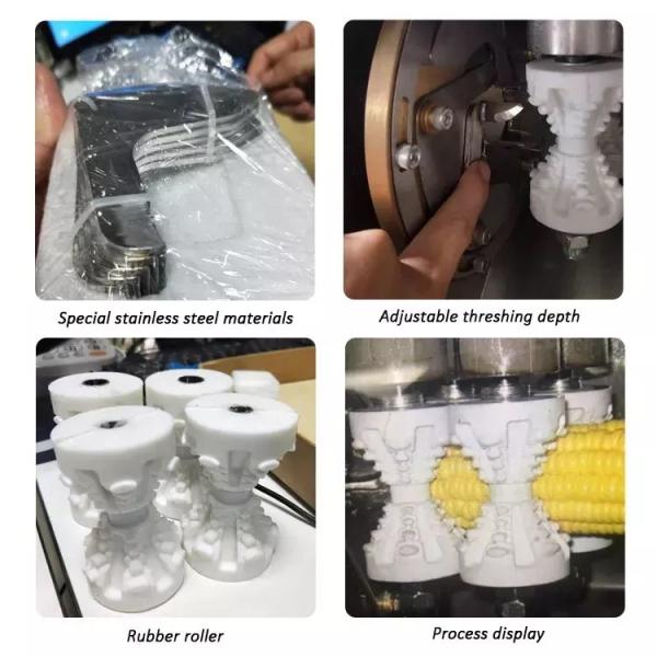 SUS304 instant fruit milk flower freeze drying machine pet food machine freeze dried snake venom freeze drying machine
