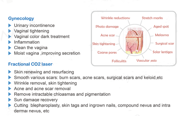 40W Stationary Fractional CO2 Laser Machine Cutting Probes TUV