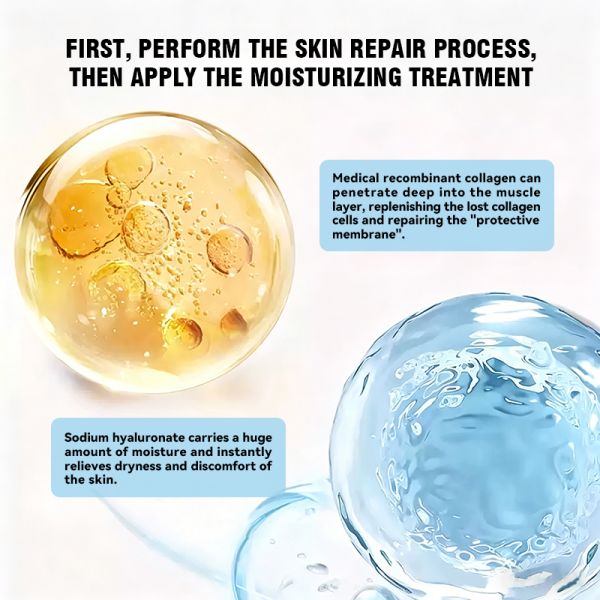 Medical Recombinant Collagen Repair Patch Sterile Post Procedure Dressing Wound Healing
