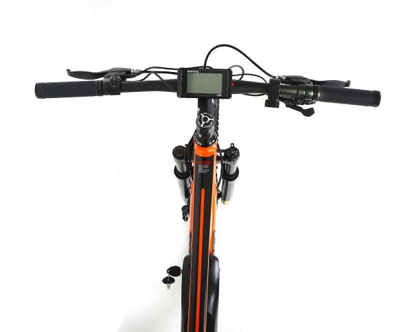 Single Speed Alloy Frame Mountain Bike 48V Lithium Battery Electric 750W Mid Motor
