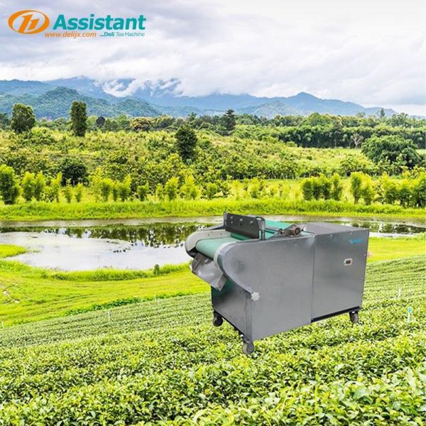 Tea Vegetable Sectioning Machine DL-6GCQ-30-2 for Multifunctional Potato Shredder 220V