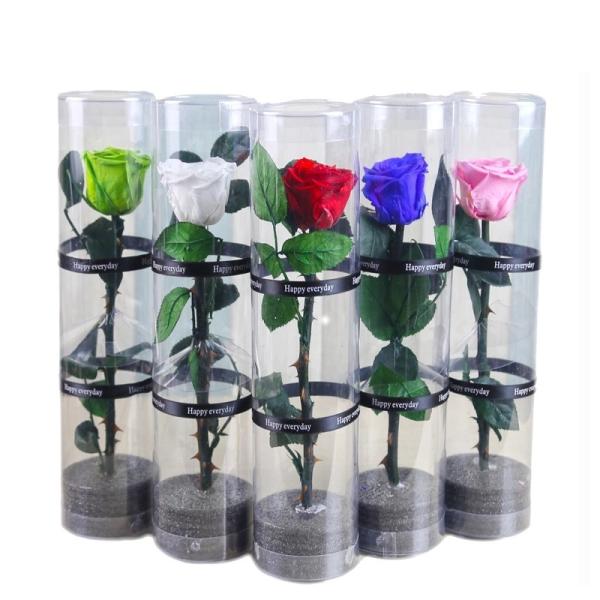 Wholesale fresh preserved roses with long stems Decorative Flowers