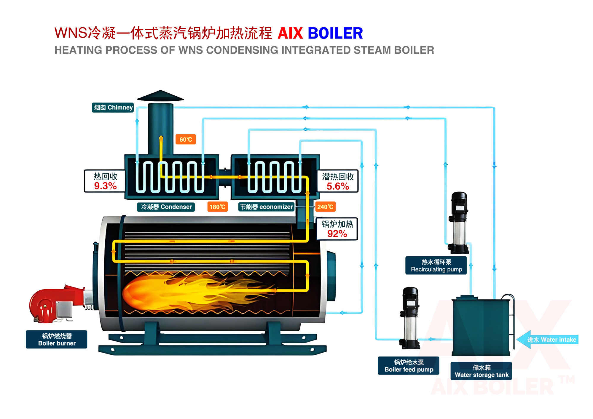 Customize Oil Gas Fired Steam Boiler Carbon Steel Stainless Steel