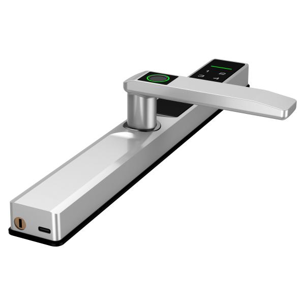 TTlock Tuya Автоматический дверной замок дома ROHS Квартира спальня дверной замок