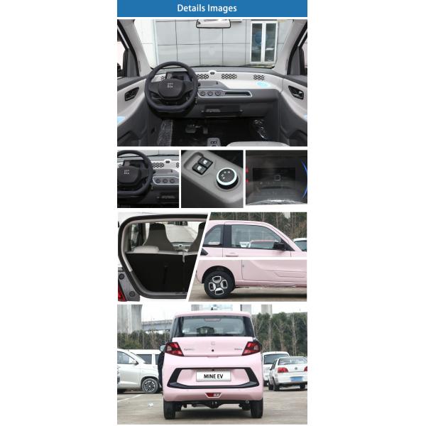China New Energy Vehicles Pure Cars Dongfeng EV Mini Electric Car