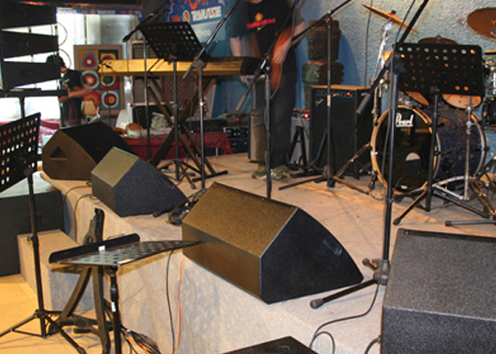 Conference Monitor Speaker Full Range