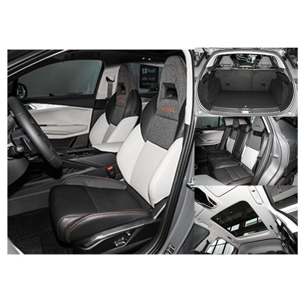 Unique Goddess Pink Lynk & Co Hybrid SUV 2023 LYNK&CO 06 PHEV