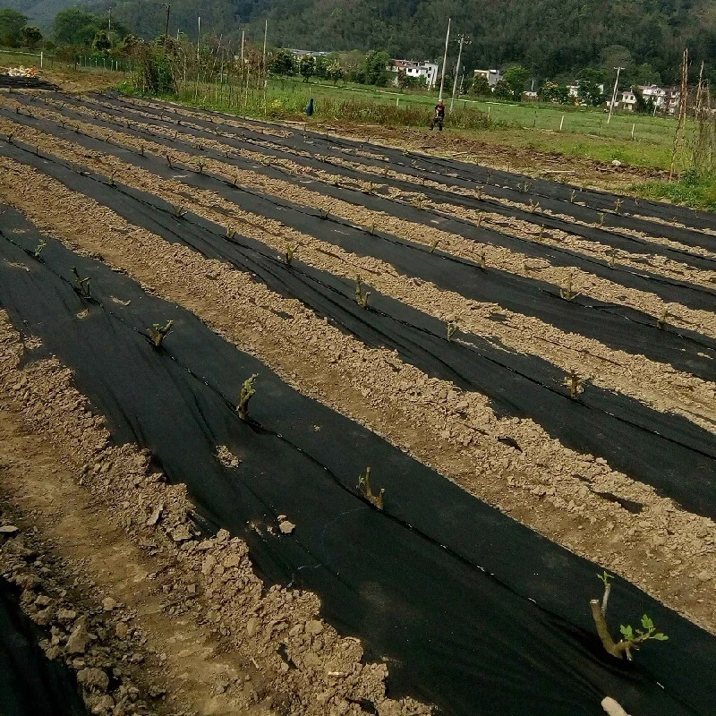 Сплетенная PP циновка ткани дренажа Geotextile смолола засоритель 4m x 50m анти-