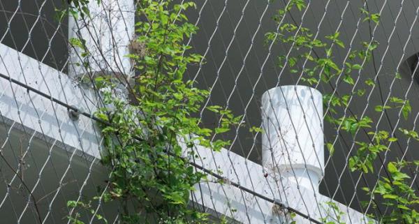 Flexible Inox Wire Rope Plant Trellis , Plant Climbing Green Wall Mesh