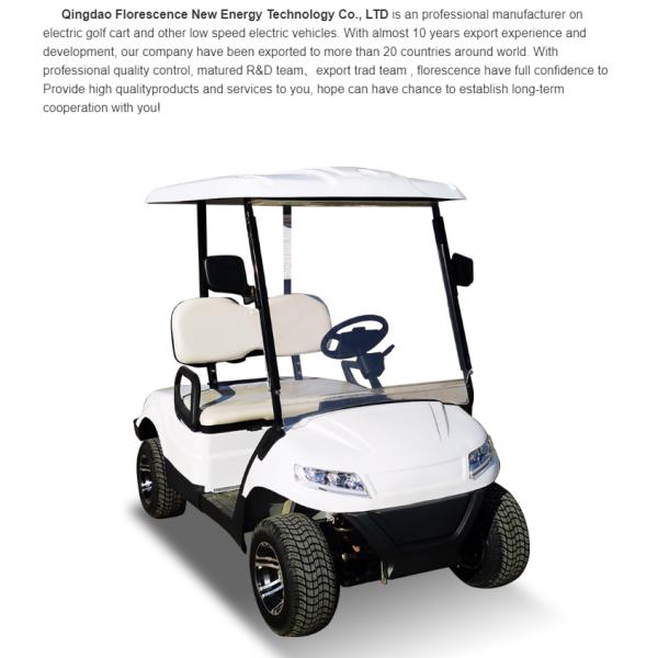 2 Passenger Terminator 48V Electric Golf Cart New Energy 5KW OEM