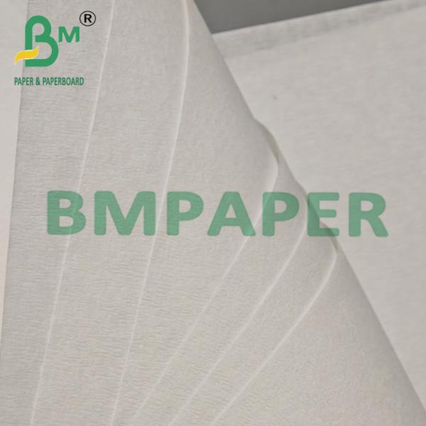 White High Seal Strength Drip Coffee Filter Paper Roll 23gsm White High Seal Strength Drip Coffee Filter Paper Roll 23gsm