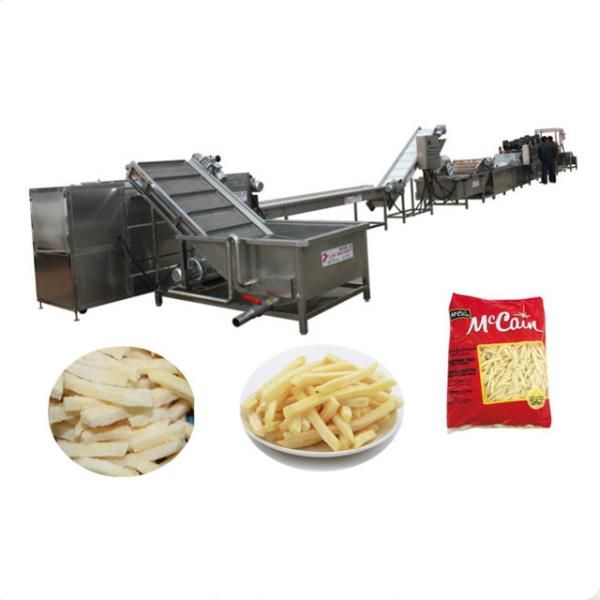 Electronic French Fries Manufacturing Machine Food Industry Potato Chips Deep Fryer Machine