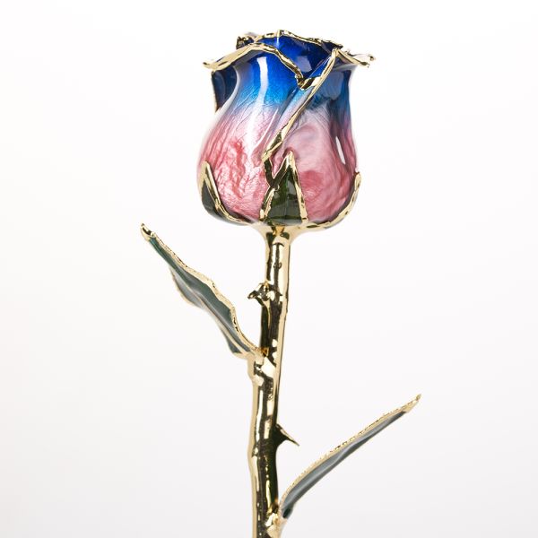 Gold Dipped Real Natural Rose Handmade Preserved Rose Mother's Day Everlasting Rose Wholesale Directly Supply